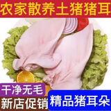 【顺丰发货】冷冻猪耳朵片猪耳尖冻冷冻猪耳朵商用肉带根一只三到 猪耳朵2只