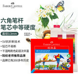 辉柏嘉（Faber-castell）彩铅油性水溶性彩色铅笔绘画套装美术画画工具儿童七夕情人节礼物艺考 48色（纸盒）水溶+48孔笔帘