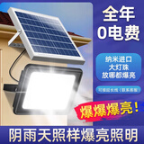 万火新款太阳能庭院户外灯家用农村新型照明路灯室外防水led射灯 100W-H【照180平】+多档调光控制