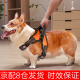 磊嘉狗绳中小型犬牵引绳遛狗绳背带柯基胸背带 防爆冲狗绳子 橘色#15-38斤#胸背带M