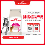 皇家成猫 天然香味 EA33 通用粮 12月以上 2KG