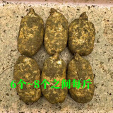 昭通天麻;ZHAOTONG RHIZOMA GASTRODIAE天麻 云南昭通新鲜天麻 小草坝深山老林乌天麻 滋补食材 非 黄金 中果（6-8个每斤） 1斤试吃