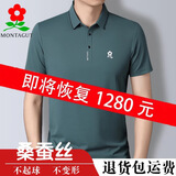 梦特娇夏季休闲短袖男士T恤中年高端时尚桑蚕丝翻领POLO衫短袖t恤刺绣 豆绿 175/92A 建议135-150斤