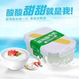 西域春酸奶大方桶新疆老酸奶低温全脂风味水果捞酸奶益生菌生牛乳发酵乳 饭盒酸奶2斤 新疆发3-5天到