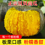 京鲜匠山东真贝贝南瓜正宗 栗香老瓜 粉糯香甜小南瓜 新鲜蔬菜源头直发 实惠装 净 4.5斤