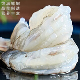 新食道新疆白虾新鲜捕捞急速冷冻特大白虾新疆养殖海鲜水产 端午送礼佳 国产青虾仁 2斤(净重)