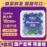 京鲜生 国产蓝莓 4盒装 果径18mm+ 新鲜水果 源头直发包邮
