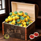 七春 新会小青柑600g茶叶礼盒 云南糯香普洱茶生晒柑元旦送老丈人长辈