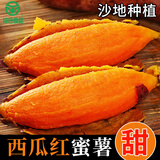 豫西臻选 西瓜红蜜薯 蒸烤红薯软糯香甜 新鲜地瓜 来自渠首源头的新鲜番薯 3斤红心蜜薯