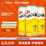 青岛啤酒（TsingTao）汉斯小木屋菠萝啤果啤菠萝风味啤酒 500mL 12罐 整箱装