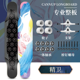 斯威（SWAY）滑板四轮成人专业长板男女生公路刷街代步舞板 精卫彩砂【高阶款118】大礼包