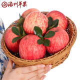 洛川苹果陕西延安红富士时令苹果水果礼盒装糖心苹果生鲜脆甜整箱好吃新鲜 10斤铂金果80-85mm（净重8.5斤）