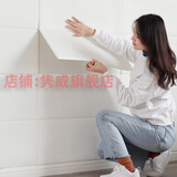 隽威 卡通3D立体墙贴自粘儿童房客厅卧室办公室文化墙电视背景墙纸 厚款方块荔枝纹十片装 白色   每片宽70厘米高70厘米