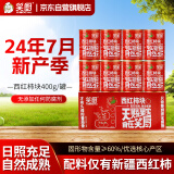 笑厨（XIAOCHU）新疆西红柿块400g*8罐装 配料新鲜西红柿块0添加剂调味酱番茄罐头