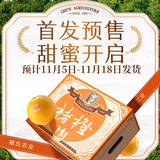 褚橙 云南冰糖橙  优级果 L 10斤装装 单果约130g起 生鲜水果礼盒