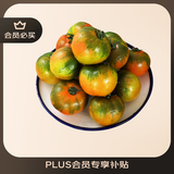 京鲜生 山东铁皮草莓西红柿 净重4.5斤 单果60-150g水果番茄源头直发