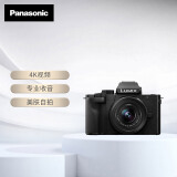 松下G100DK微单相机  Panasonic 数码相机 vlog相机 微单套机12-32mm 4K视频 专业收音 柔肤自拍