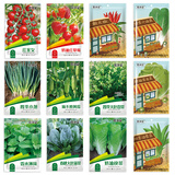花沃里12款蔬菜种子 黄瓜西红柿草莓香菜薄荷生菜辣椒白菜菠菜香葱种籽