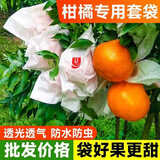 柑橘套袋专用袋耙耙柑橘子果袋丑橘橙子防虫防鸟石榴沃柑水果套袋 100个【橙橙刀把款18*22】大号