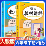 套装2册 [课文批注] 2025春小学教材讲解六年级语文数学下册人教版 小学课本教材同步讲解课后习题解答教材全解重难点知识点梳理归纳课堂笔记黄冈随堂笔记