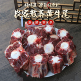 桃西村内蒙古牛尾巴现杀新鲜生鲜整根切块牛尾骨生黄牛肉 新鲜牛尾巴2斤