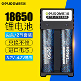 德力普（Delipow）18650锂电池3.7V-4.2V大容量9250mWh强光手电筒专用电池充电器套装 麦克风/头灯/航模/小风扇通用