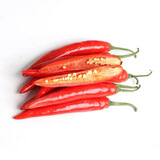 【一人食】红美人椒100g