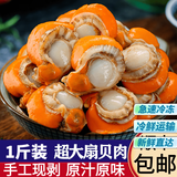 特大号扇贝肉新鲜冷冻扇贝贝类海鲜瑶柱海鲜水产 1斤大号扇贝肉