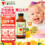 童年时光 ChildLife 多维锌 儿童复合维生素 婴幼儿维生素钙镁锌 进口 6个月以上 237ml/瓶 【1瓶】