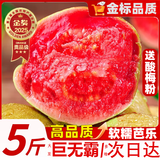 甜盟 新鲜红心芭乐【多地区次日达】广西白心奶油软芭乐双拼番石榴 3斤净重升级红心芭乐