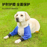 景苓宠物护膝 狗狗护膝狗护腿护具 宠物用品狗狗衣服关节保暖保护套 蓝色 L(建议体重50-80斤)