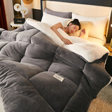 南极人（Nanjiren）羊羔绒被子冬季加厚单人被子1.8x2米冬被8-10斤保暖冬天棉被 绅士灰【双面暖绒加倍保暖】 180x220cm【特厚8斤】加倍保暖