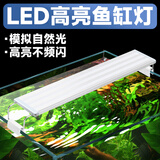 奈宠鱼缸灯led水草灯全光谱观赏鱼照明灯爆藻珊瑚灯水族造景灯 三排白蓝光【8w 18颗灯珠】适用18-31cm Led 高亮鱼缸灯珠【可调节支架】