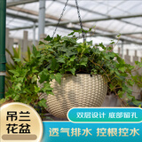 绿园匠吊兰花盆懒人自动吸水仿藤编厚塑料悬挂阳台绿萝带链条种植垂吊盆