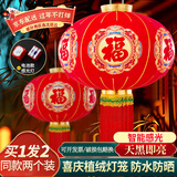 菲享 新年灯笼大门挂的2025一对植绒大红灯笼全家福过年阳台led灯挂饰 80#【适合阳台/店面】+感光灯 【七彩金福字大红灯笼，一对装】