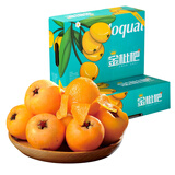 京配嘉果米易大五星枇杷大果当季新鲜甜枇杷四川攀枝花孕妇水果 1斤精选装【颗颗精选】