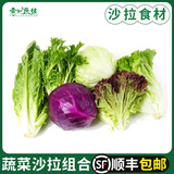 蔬菜沙拉组合4斤红叶苦菊罗马绿毛球生菜紫包菜混合轻食沙拉食材 2000g 【顺丰直达】 沙拉套餐4斤【顺丰直达】