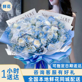 儿童节满天星玫瑰真碎冰蓝花束生日鲜花小时达全国同城配送女友 【星河与你】33朵碎冰蓝玫瑰花 今日达|次日达|其他时间联系客服