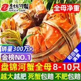 【活蟹】网兜蟹辽宁盘锦河蟹稻田河蟹礼盒螃蟹鲜活大闸蟹无绳净重 全母蟹丨1.0-1.3两【1斤】8-10只