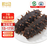 鲜出动大连即食海参刺参深海辽刺参海参干货13-17头 净重500g