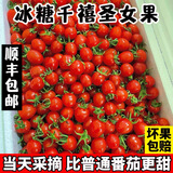 正宗釜山88玲珑小番茄千禧果5斤超甜小番茄圣女果樱桃小番茄纯甜R 5斤 【精选装】【净重4.8】