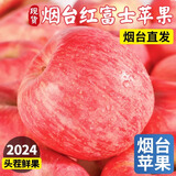 司道和山正宗山东烟台红富士苹果新鲜水果4.5斤当季整箱圣诞平安果栖霞 80-85MM【大果】 净重8.5斤