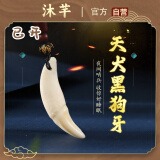 沐芊 狗牙吊坠黑狗牙护身符婴儿真狗牙饰品成人项链男平安扣真品小孩 【已开】狗牙吊坠 黑色