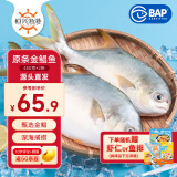 恒兴食品 北海原条金鲳鱼 净重1.8斤 2条装 BAP认证海鲜鱼类食材 源头直发