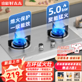 山彩好太太燃气灶双灶5.2KW一级能效天然气家用聚能猛火节能液化气煤气灶大火力台嵌两用煤气炉灶具 五环猛火灶+防滑炉架+不锈钢 瓶装液化气20Y