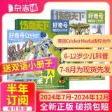 【10月期补货中】好奇号杂志订阅 2024年7月-12月共6期 青少年科普百科图书 杂志铺（先发“杂志订阅清单）