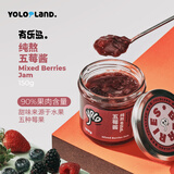 有乐岛配料干净纯熬五莓酱150g 草莓树莓蓝莓黑莓蔓越莓90%果肉含量