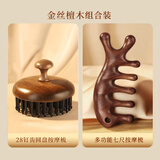 高端檀木圆盘按摩梳子头部头皮疏通毛囊神器经络梳防养发头疗脱发 2件套细齿81齿+七齿按摩梳