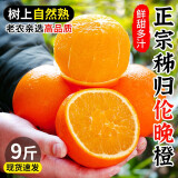 土地母亲计划 正宗湖北秭归伦晚脐橙 伦晚春橙子水果当季鲜甜橙手剥橙子 净重9斤中大果 单果70-85mm