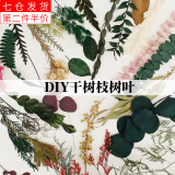 荣花施 松果装饰手工diy材料包幼儿园儿童环创干花干果圣诞挂件场景布置 树叶植物材料盒【随机一盒装】